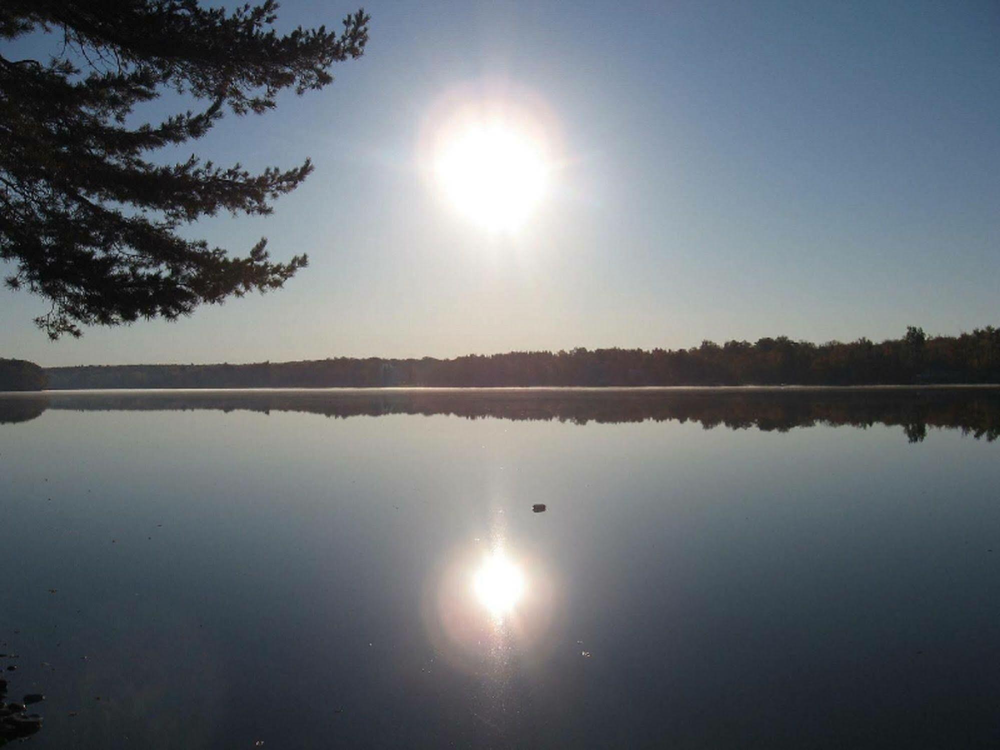 Mariaville Lake B & B Pattersonville Екстер'єр фото